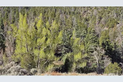 Lot 5475 Joy Road, Fort Garland, CO 81133 - Photo 22