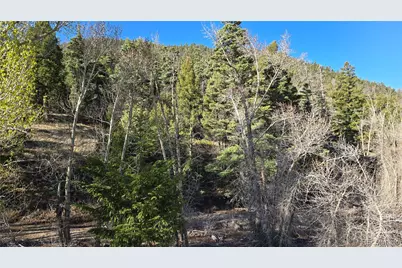 Lot 5475 Joy Road, Fort Garland, CO 81133 - Photo 10