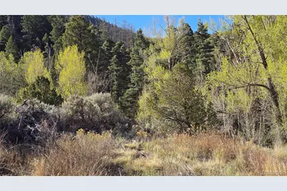 Lot 5475 Joy Road, Fort Garland, CO 81133 - Photo 16