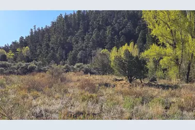 Lot 5475 Joy Road, Fort Garland, CO 81133 - Photo 18