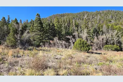 Lot 5475 Joy Road, Fort Garland, CO 81133 - Photo 20