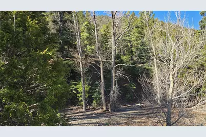 Lot 5475 Joy Road, Fort Garland, CO 81133 - Photo 8