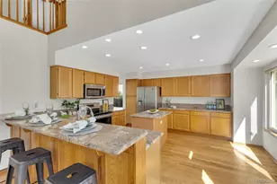 11634 Laurel Ln, Parker, CO 80138 - Photo 10