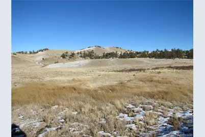 487 Falcon Road, Hartsel, CO 80449 - Photo 4