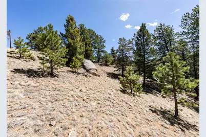 110 La Abu Trail, Florissant, CO 80816 - Photo 8