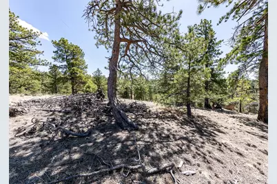 110 La Abu Trail, Florissant, CO 80816 - Photo 20
