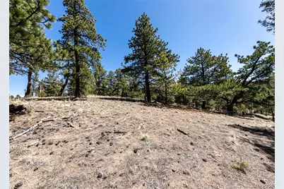 110 La Abu Trail, Florissant, CO 80816 - Photo 6