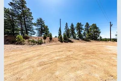 110 La Abu Trail, Florissant, CO 80816 - Photo 2