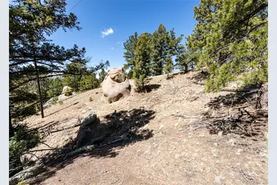 110 La Abu Trail, Florissant, CO 80816 - Photo 16
