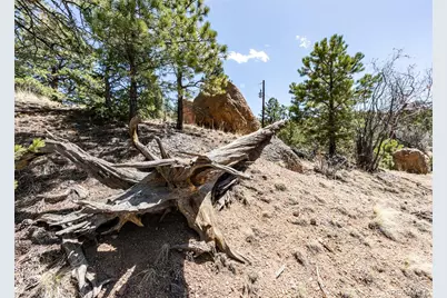 110 La Abu Trail, Florissant, CO 80816 - Photo 10