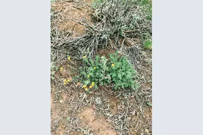 2667 Cahokia Road, Hartsel, CO 80449 - Photo 10