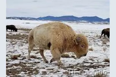 2667 Cahokia Road, Hartsel, CO 80449 - Photo 24