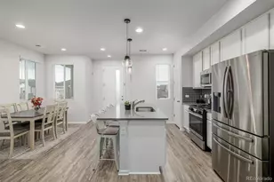 18130 E 96th Pl, Commerce City, CO 80022 - Photo 8