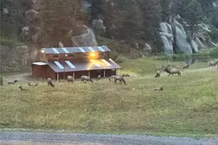 60 N Co Hwy 67, Sedalia, CO 80135 - Photo 8