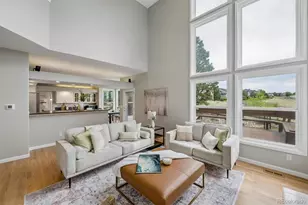 10086 Stratford Pl, Highlands Ranch, CO 80126 - Photo 18