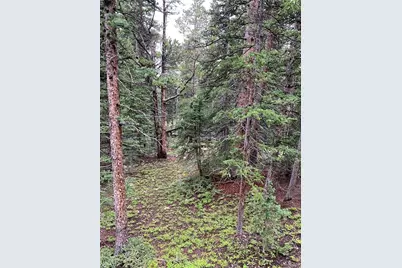 117 Miners Way, Fairplay, CO 80440 - Photo 10
