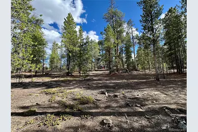 143 Fir Drive, Leadville, CO 80461 - Photo 6