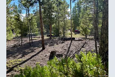 143 Fir Drive, Leadville, CO 80461 - Photo 8