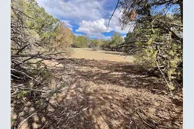 Lot 70 Silver Spurs Ranch, Walsenburg, CO 81089 - Photo 16