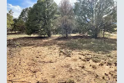 Lot 70 Silver Spurs Ranch, Walsenburg, CO 81089 - Photo 18