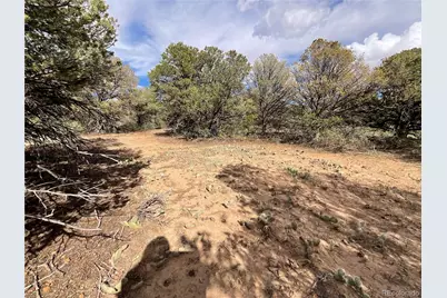 Lot 70 Silver Spurs Ranch, Walsenburg, CO 81089 - Photo 10