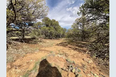 Lot 70 Silver Spurs Ranch, Walsenburg, CO 81089 - Photo 12