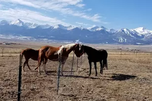 378 Lone Tree Cir, Westcliffe, CO 81252 - Photo 2