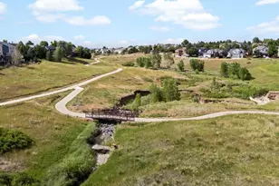 10216 Kleinbrook Way, Highlands Ranch, CO 80126 - Photo 38