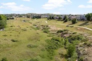 10216 Kleinbrook Way, Highlands Ranch, CO 80126 - Photo 40