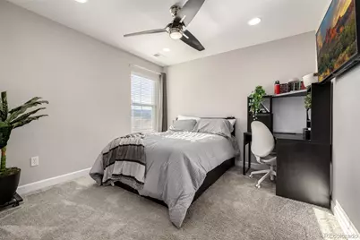 9021 Swan River Street, Littleton, CO 80125 - Photo 20