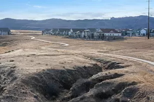 9021 Swan River St, Littleton, CO 80125 - Photo 40