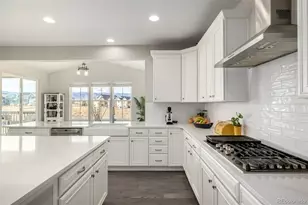 9021 Swan River St, Littleton, CO 80125 - Photo 6