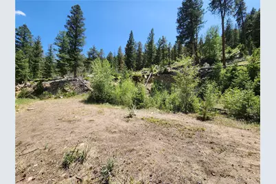 256 Capital Road, Dumont, CO 80436 - Photo 2
