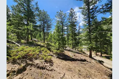 256 Capital Road, Dumont, CO 80436 - Photo 10