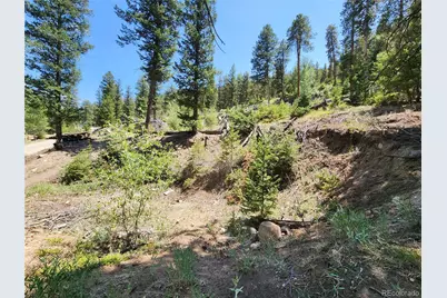 256 Capital Road, Dumont, CO 80436 - Photo 22