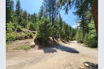 256 Capital Road, Dumont, CO 80436 - Photo 24