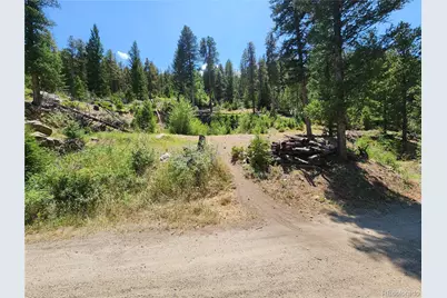 256 Capital Road, Dumont, CO 80436 - Photo 26
