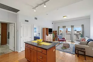 1950 N Logan Street, Denver, CO 80203 - Photo 8