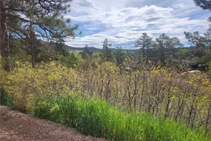 Buena Vista Ave Ave, Palmer Lake, CO 80133 - Photo 1