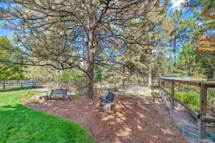 5172 Horned Owl Way, Parker, CO 80134 - Photo 46