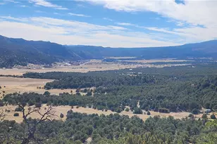 402 Trailridge Rd, Coaldale, CO 81222 - Photo 4