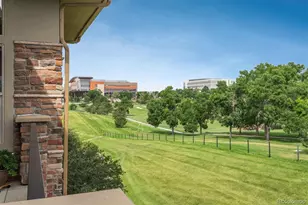 10263 Spring Green Drive, Englewood, CO 80112 - Photo 34