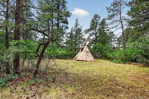 11934 E Buckhorn Way, Franktown, CO 80116 - Photo 28