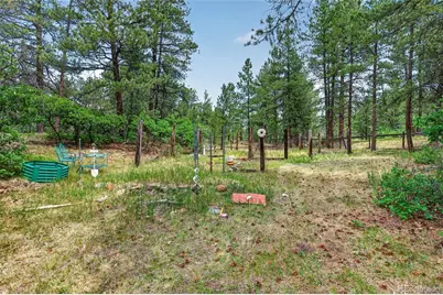 11934 E Buckhorn Way, Franktown, CO 80116 - Photo 38