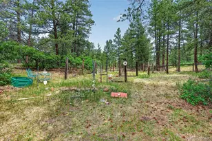 11934 E Buckhorn Way, Franktown, CO 80116 - Photo 38
