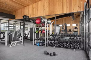 752 Coal Bank Trl, Castle Rock, CO 80104 - Photo 32