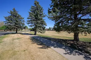 17045 Hastings Ave, Parker, CO 80134 - Photo 30