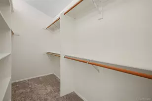17045 Hastings Ave, Parker, CO 80134 - Photo 24