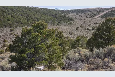 Lot 4536 Sarnoff Road, Fort Garland, CO 81133 - Photo 8
