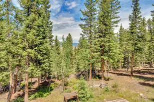 987 Boreas Cir, Jefferson, CO 80456 - Photo 36